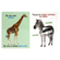 107655 Animais da Selva 2